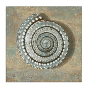Stupell Industries Spiral Shell Beach Objects Design, 24" x 24" - 1 of 4