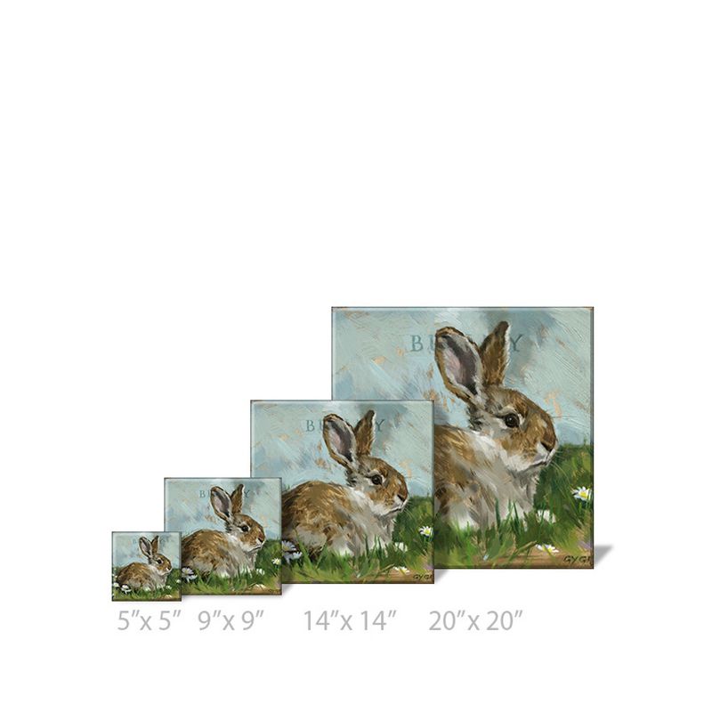 Sullivans Darren Gygi Brown Bunny Canvas, Museum Quality Giclee Print, Gallery Wrapped, Handcrafted in USA, 4 of 11