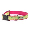 The Worthy Dog Flamingos Dog Collar - 2 of 3