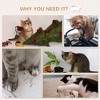 6-pc Modern Cat Wall Shelves for Indoor Cats, Height Adjustable Jumping Platforms & Cat Hammock Cat Climbing Shelf Set, Cream - 2 of 4