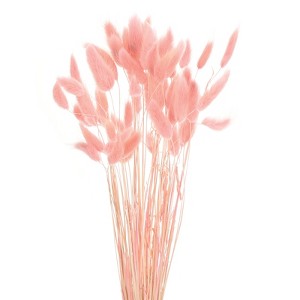 Unique Bargains Natural Dried Floral Bunny Tail Artificial Plants 60 Pcs - 1 of 4