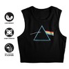 Women's Pink Floyd Dark Side Prism Sleeveless Crop Top Tank - 3 of 4