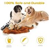Chery Life Dog Squeaky Toys, No Stuffing Plush Chew Toy for Small Medium Dogs Puppy Aggressive Chewers Large Breed, 5 Pieces - 3 of 4