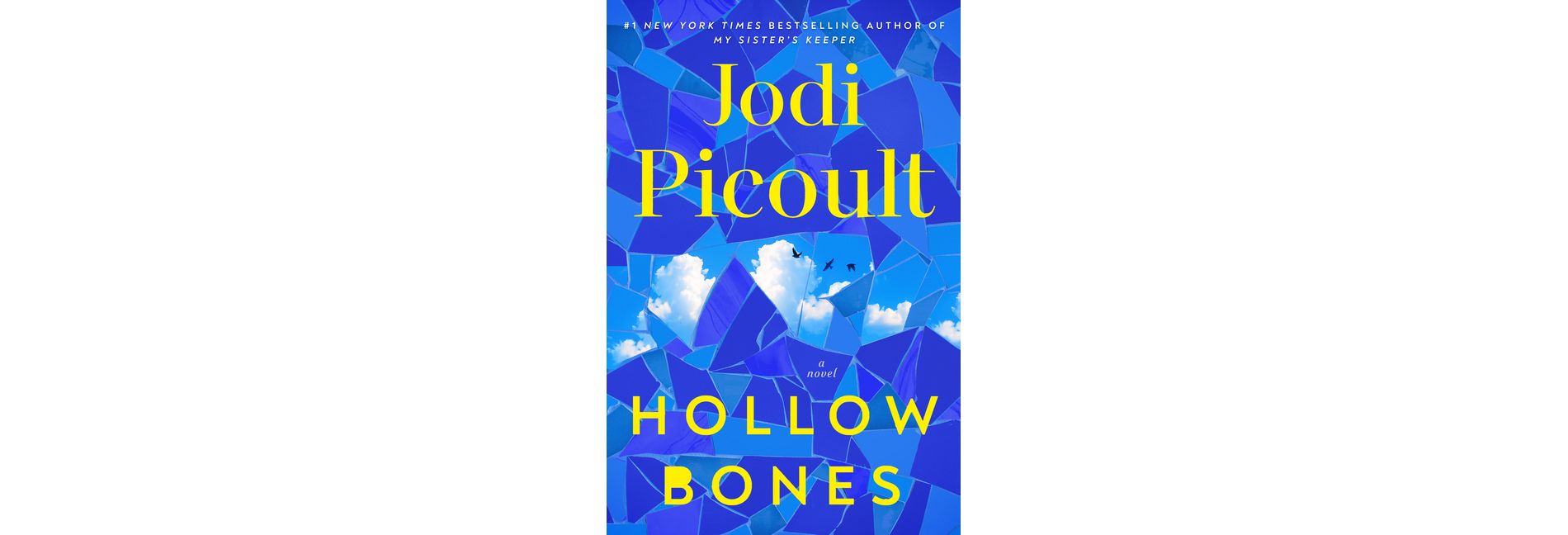 Hollow Bones - by  Jodi Picoult (Hardcover)
