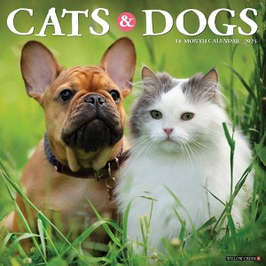 Willow Creek Press Cat's And Dogs 2025 Wall Calendar: Monthly, 12x12 Inches, Paper, Sewn Binding, All Ages - 1 of 4