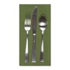 Design Imports  Solid Cotton Napkin Set 6 Piece, Antique Green, 20X20" - 2 of 4
