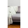 50" X 60"  Woven Cotton Striped Throw Blanket with Fringe - 2 of 4