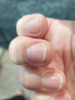 Guest review image 2 of 2, zoom in