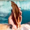 Butcher's Naturals Pork Flavor Pig Ears Dog Treats - 14oz - 4 of 4