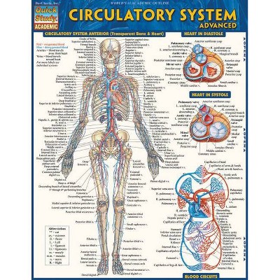 Circulatory System: Advanced - (Quick Study: Academic) by  Vincent Perez (Poster)