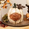 Northlight Fall Harvest "Be Joyful" "Be Thankful" Pumpkin Decorations - 7.75" - Set of 2 - 3 of 4
