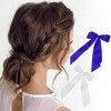 Unique Bargains Fashion Double Ribbon Hair Clips Hairdo Clip 2 Pcs - 3 of 4