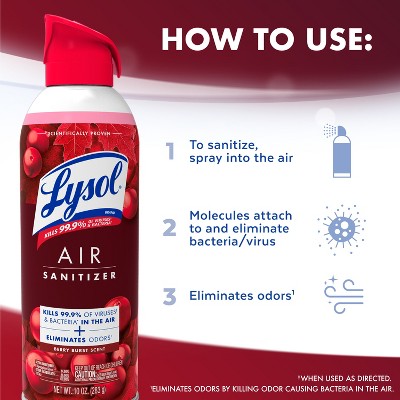 Lysol Aerosol Air Sanitizer - Berry Burst - 10oz: Multipurpose, Multi-Surface