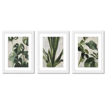 (set Of 3) Vintage Tropical Study By Julia Purinton White Framed ...