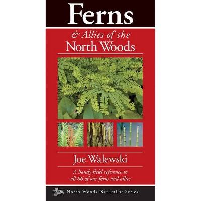 Ferns & Allies of the North Woods - (Naturalist) by  Joe Walewski (Paperback)