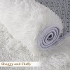 Fluffy Area Rug- Shag Area Rug for Living Room, Shaggy Large Indoor Thick Living Room Carpet with Non-Slip Backing, Soft Plush Carpet - 4 of 4