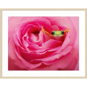 Amanti Art Hanging On VIII by PHBurchett Wood Framed Wall Art Print - 1 of 4