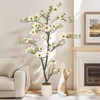 4FT Artificial Magnolia Tree with Realistic White Flowers & Lush Green Leaves - 3 of 4
