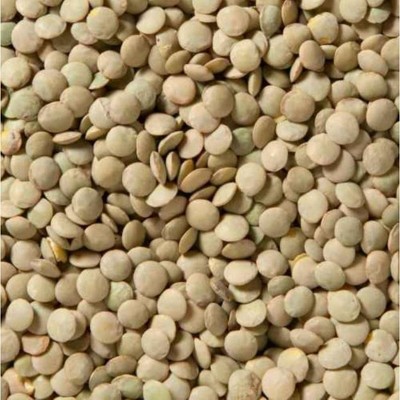 Woodstock Farms Lentil Beans - 25 lb