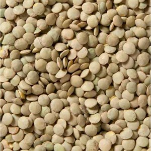 Woodstock Farms Lentil Beans - 25 lb - 1 of 3