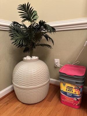 Guest review image 1 of 1, zoom in