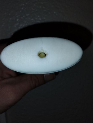 Guest review image 2 of 3, zoom in