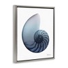 Stupell Industries Contemporary Nautilus Shell, 17" x 21" - 3 of 4