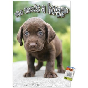 Trends International Keith Kimberlin - Puppy - Who Needs a Hug? Unframed Wall Poster Prints - 1 of 4