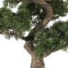 Realistic Bonsai Tree Indoor Outdoor - 36" Silk Plant with Decorative Pot - Timeless Tradition Home Decor - 3 of 4