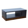 Sapphtopaz Modern Coffee Table with 2 Framed Panel Doors & 2-Tier Open Shelf Simple Center Table with Knotty Alder Base for Living Room, Bedroom - 4 of 4