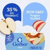 Gerber Baby Food Oatmeal Baby Cereal 8oz + 12ct Strawberry Apple Spinach Teething Wafers Baby Snack + 2ctApple Baby Food Puree - 3 of 4