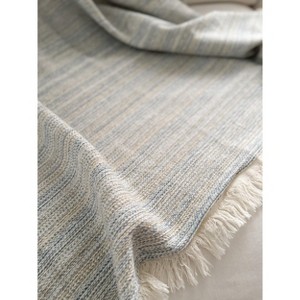 Santa Cruz Stripe Throw - 1 of 4