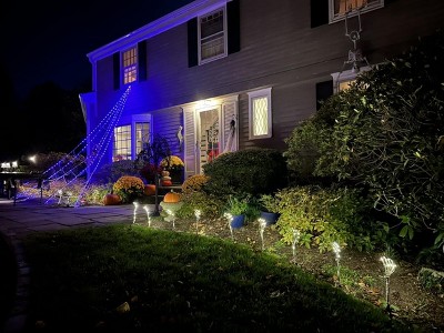 Guest review image 1 of 1, zoom in