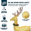 Joiedomi 5ft Gold Buck with Wreath&Ribbon Yard Light Christmas Outdoor Deer Yard Lights Decor - 4 of 4