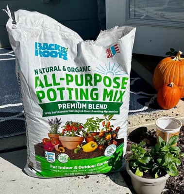 Guest review image 3 of 3, zoom in