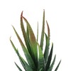 Unique Bargains Artificial Plants Mini Aloe-Vera in Pulp 2.76"x2.76"x5.51" 1 Pc - 4 of 4