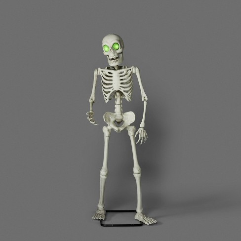 Animated Premium Skeleton Halloween Scene Prop - Hyde & Eek ...