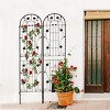 Metal Garden Trellis for Plants,86"x19" Rustproof Climbing Plant Support,Decorative Outdoor Flower Trellis,Sturdy Plant Frame-Coolbibila - 3 of 4