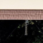 top light color & gray