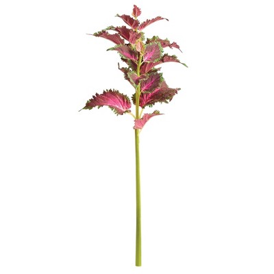 Plum & Post 22" Red Coleus Decorative Faux Artificial Plant Greenery Pick Stem