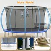 16FT Trampoline, Recreational Trampolines with Enclosure Net and Ladder - 3 of 4