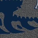 new york yankees