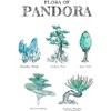 Women's Avatar Flora of Pandora Sketches T-Shirt - 2 of 4