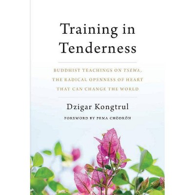 Training in Tenderness - by  Dzigar Kongtrul (Paperback)