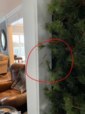 Guest review image 1 of 5, zoom in