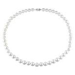 7.5-8mm Cultured Freshwater Pearl Necklace in Sterling Silver - 18" - White