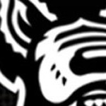 north carolina state wolfpack