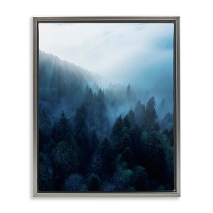 Stupell Industries Daylight over Pine Forest Floating Frame Canvas Art, Gray, 25" x 31" - 1 of 4
