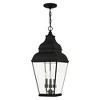 Livex Lighting Exeter 3 - Light Pendant in  Black - 2 of 4