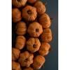 19" Fall Pumpkin Wreath – Orange Faux Floral Door Accent - 2 of 4